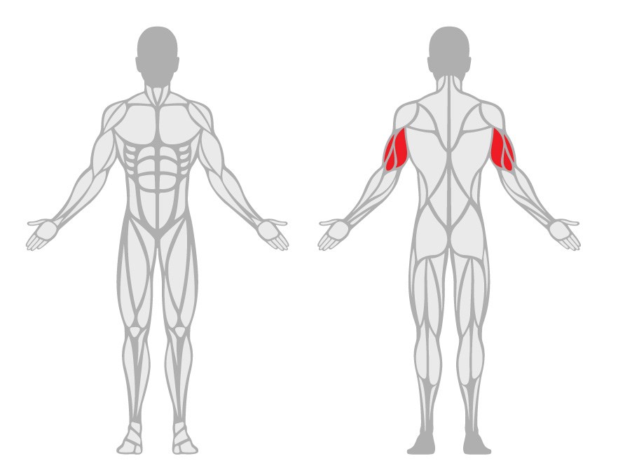 Triceps pushdown i kabel.